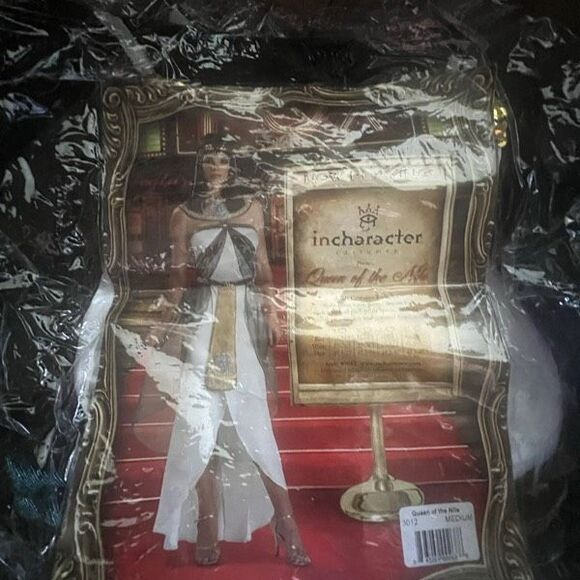 Cleopatra gown - Picture 1 of 5